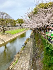 IMG_8395