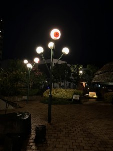 IMG_1576